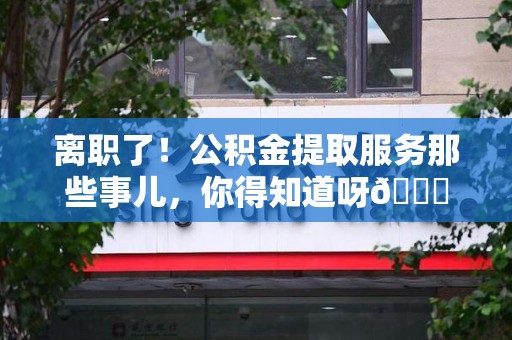 连江离职了！公积金提取服务那些事儿，你得知道呀😉